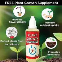 š¹ Elegant Imported Climbing Rose Flower Seeds + Plant Growth Supplement FREEš„ - Image 2