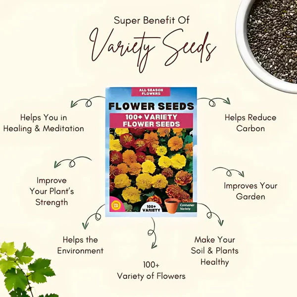 Varieties of Flower Seeds (Pack of 100) + Plant Growth Supplement Free!! - Image 5