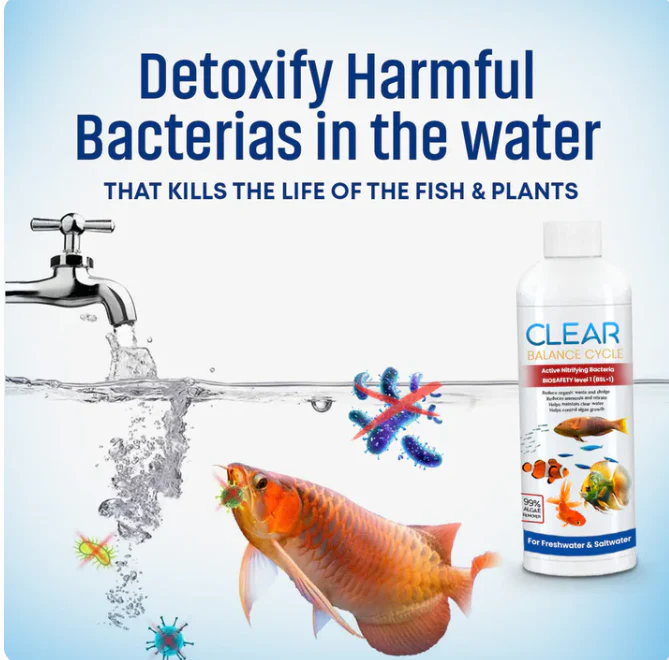 AquaClear™ Automatic Fish Tank Cleaner – (Buy 1 Get 1 Free🔥) - Image 2