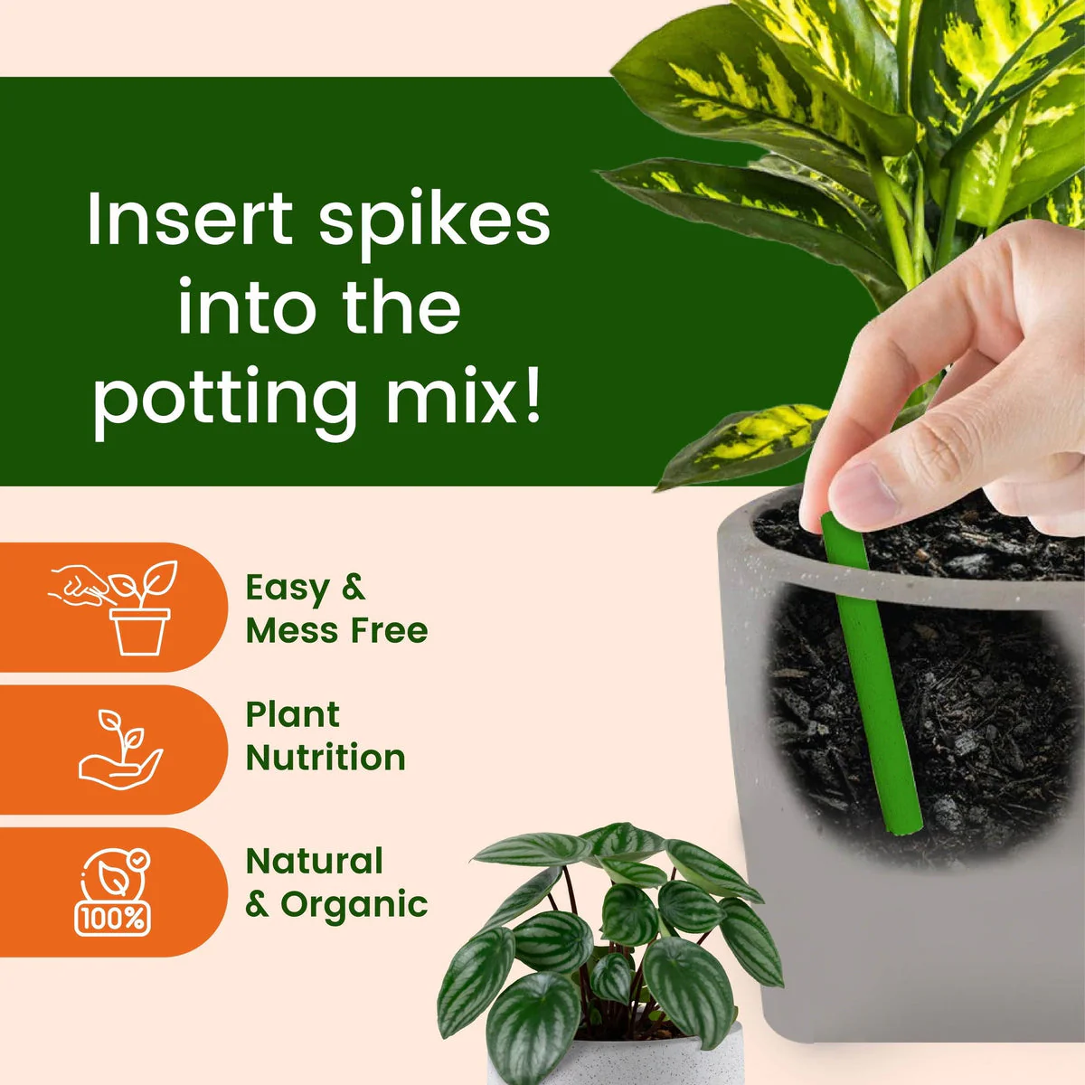 Dr.Green's - Magic Plant Sticks - Image 10