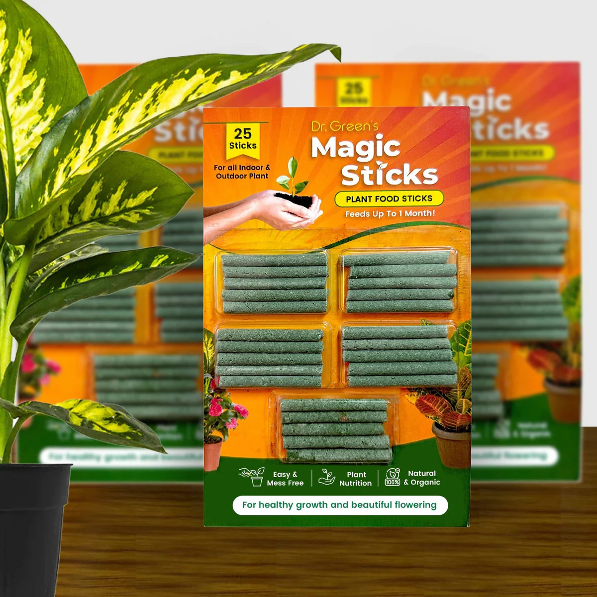 Dr.Green's - Magic Plant Sticks - Image 2