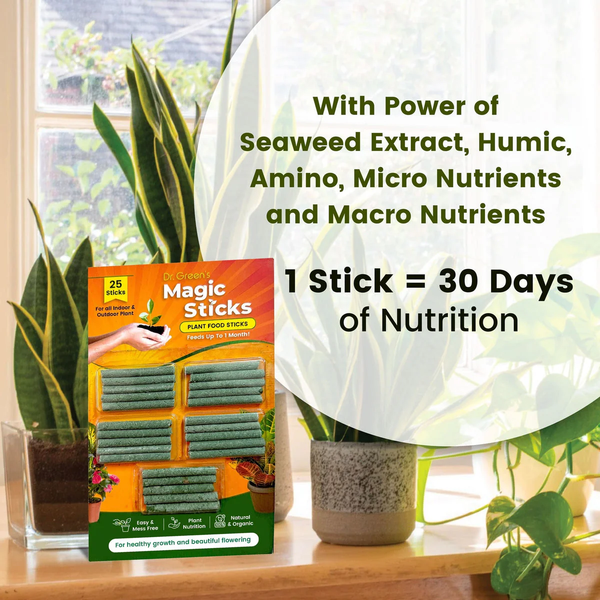 Dr.Green's - Magic Plant Sticks - Image 3