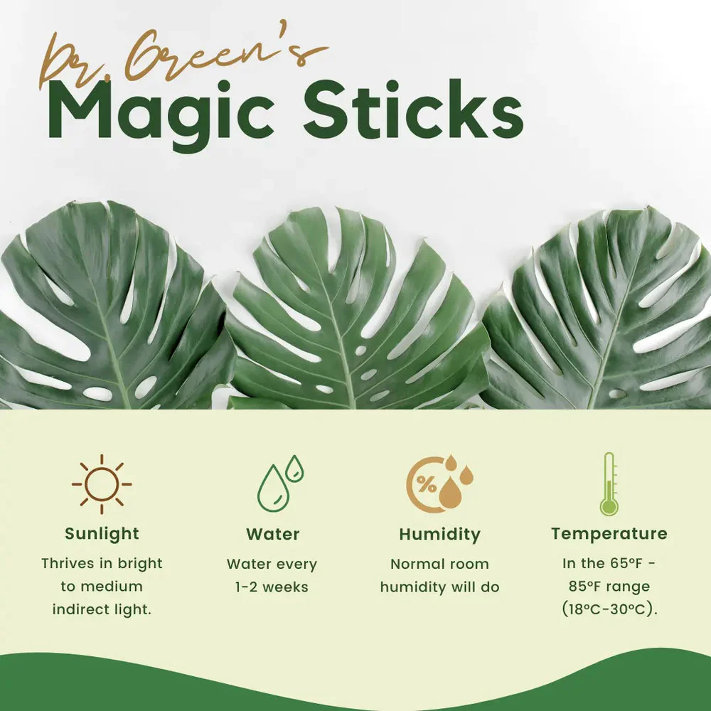 Dr.Green's - Magic Plant Sticks - Image 5
