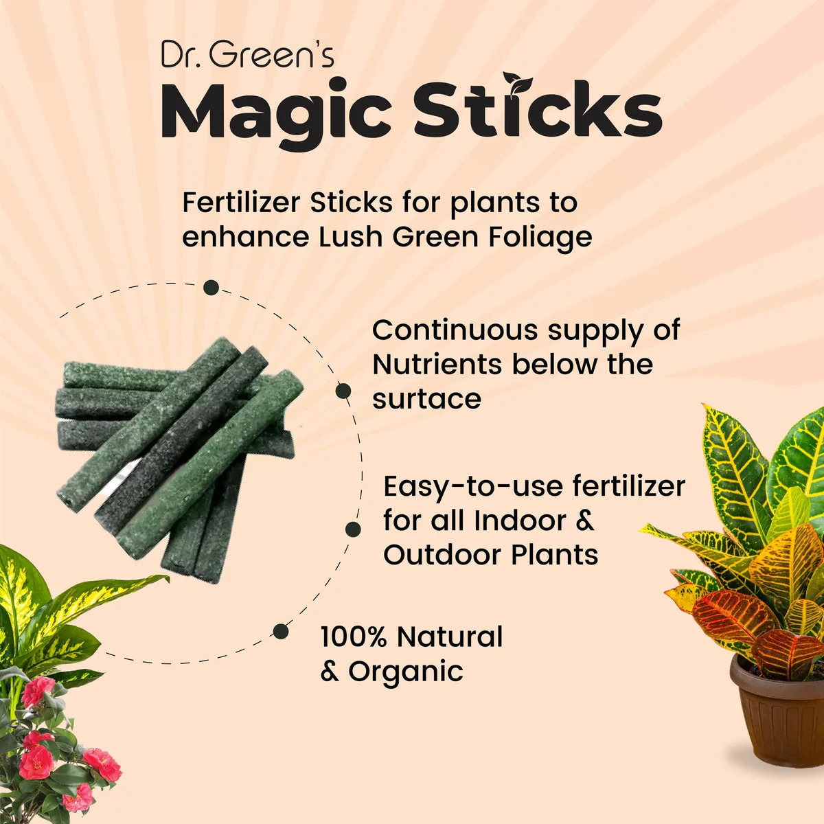 Dr.Green's - Magic Plant Sticks - Image 7