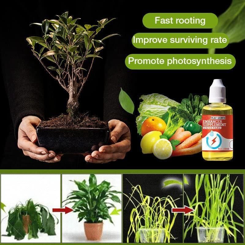 PLANT GROWTH ENHANCER SUPPLEMENT (BUY 1 GET 1 FREE) - Image 4