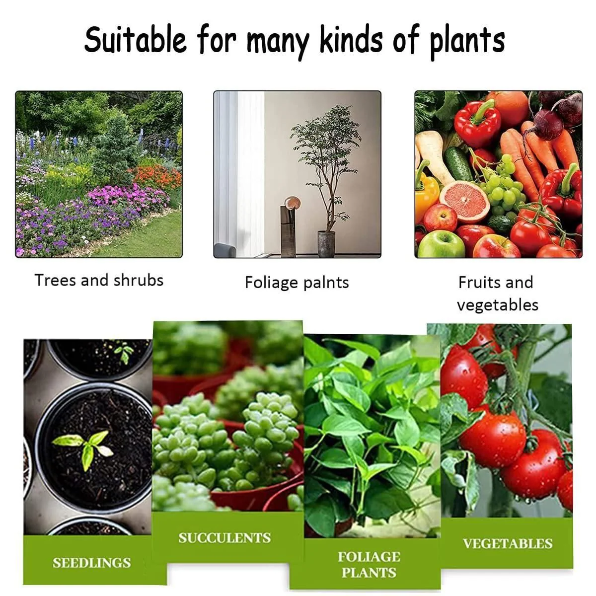 PLANT GROWTH ENHANCER SUPPLEMENT (BUY 1 GET 1 FREE) - Image 6