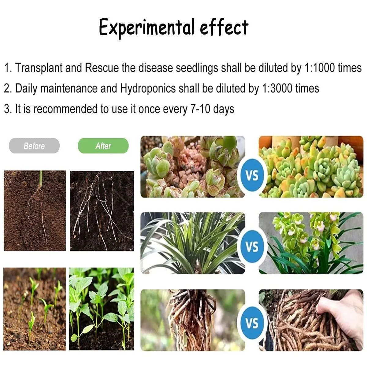 PLANT GROWTH ENHANCER SUPPLEMENT (BUY 1 GET 1 FREE) - Image 7