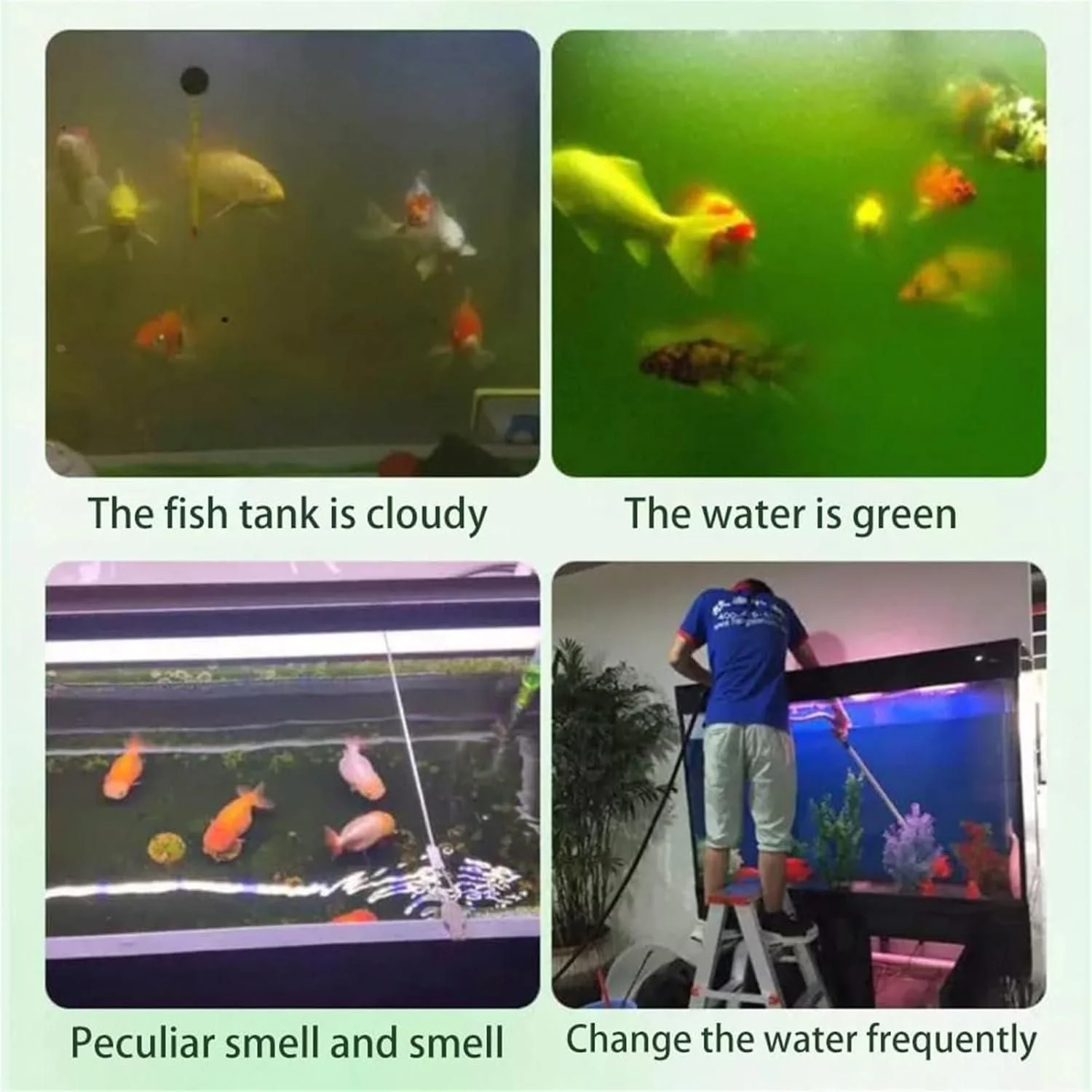 Aquarium Purifying Tablets (Pack of 140) – Safe for All Fish | 1 to 4 tab per 10L - Image 2